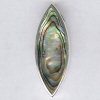 Vedh�ng med abalone.